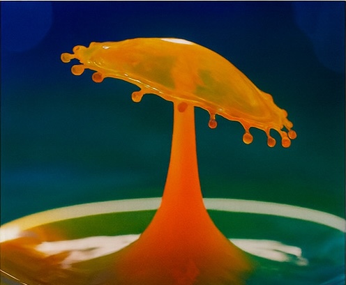 새로운 탐험이 기다립니다